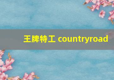 王牌特工 countryroad